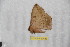  ( - BC-RBP 12533)  @11 [ ] copyright (2022) Ron Brechlin Research Collection of Ron Brechlin