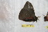  ( - BC-RBP 12537)  @11 [ ] copyright (2022) Ron Brechlin Research Collection of Ron Brechlin