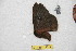  ( - BC-RBP 12617)  @11 [ ] copyright (2022) Ron Brechlin Research Collection of Ron Brechlin