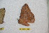  ( - BC-RBP 12636)  @11 [ ] copyright (2023) Ron Brechlin Research Collection of Ron Brechlin
