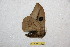  ( - BC-RBP 12652)  @11 [ ] copyright (2023) Ron Brechlin Research Collection of Ron Brechlin