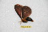  ( - BC-RBP 12654)  @11 [ ] copyright (2023) Ron Brechlin Research Collection of Ron Brechlin