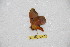  ( - BC-RBP 12657)  @11 [ ] copyright (2023) Ron Brechlin Research Collection of Ron Brechlin
