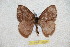  ( - BC-RBP 12696)  @11 [ ] copyright (2023) Ron Brechlin Research Collection of Ron Brechlin