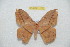  ( - BC-RBP 12755)  @11 [ ] copyright (2023) Ron Brechlin Research Collection of Ron Brechlin