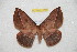  ( - BC-RBP 12781)  @11 [ ] copyright (2023) Ron Brechlin Research Collection of Ron Brechlin