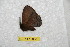  ( - BC-RBP 9866)  @12 [ ] Copyright (2015) Ron Brechlin Research Collection of Ron Brechlin