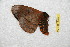  ( - BC-RBP 9876)  @12 [ ] Copyright (2015) Ron Brechlin Research Collection of Ron Brechlin