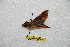 ( - BC-RBP 9887)  @12 [ ] Copyright (2016) Ron Brechlin Research Collection of Ron Brechlin
