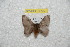  ( - BC-RBP 9896)  @11 [ ] Copyright (2016) Ron Brechlin Research Collection of Ron Brechlin