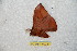  ( - BC-RBP 9928)  @13 [ ] Copyright (2016) Ron Brechlin Research Collection of Ron Brechlin