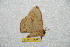  ( - BC-RBP 9963)  @12 [ ] Copyright (2016) Ron Brechlin Research Collection of Ron Brechlin