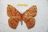  ( - BC-RBP12823)  @11 [ ] copyright (2024) Ron Brechlin Research Collection of Ron Brechlin