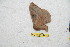  ( - BC-RBP12832)  @11 [ ] copyright (2024) Ron Brechlin Research Collection of Ron Brechlin