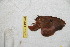  ( - BC-RBP-12971)  @11 [ ] copyright (2024) Ron Brechlin Research Collection of Ron Brechlin