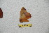  ( - BC-RBP-12982)  @11 [ ] copyright (2024) Ron Brechlin Research Collection of Ron Brechlin