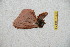  ( - BC-RBP-12984)  @11 [ ] copyright (2024) Ron Brechlin Research Collection of Ron Brechlin