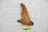  ( - BC-RBP 10158)  @12 [ ] Copyright (2016) Ron Brechlin Research Collection of Ron Brechlin