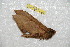  ( - BC-RBP 10165)  @11 [ ] Copyright (2016) Ron Brechlin Research Collection of Ron Brechlin