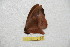  ( - BC-RBP 10196)  @11 [ ] Copyright (2016) Ron Brechlin Research Collection of Ron Brechlin