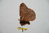  ( - BC-RBP 10260)  @12 [ ] Copyright (2016) Ron Brechlin Research Collection of Ron Brechlin
