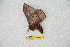  ( - BC-RBP 10263)  @12 [ ] Copyright (2016) Ron Brechlin Research Collection of Ron Brechlin