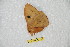  ( - BC-RBP 10267)  @12 [ ] Copyright (2016) Ron Brechlin Research Collection of Ron Brechlin