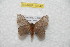  ( - BC-RBP 10342)  @11 [ ] Copyright (2016) Ron Brechlin Research Collection of Ron Brechlin