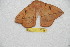  ( - BC-RBP 10355)  @12 [ ] Copyright (2017) Ron Brechlin Research Collection of Ron Brechlin