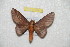  ( - BC-RBP 10417)  @13 [ ] Copyright (2017) Ron Brechlin Research Collection of Ron Brechlin