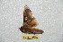  ( - BC-RBP 10418)  @13 [ ] Copyright (2017) Ron Brechlin Research Collection of Ron Brechlin