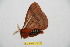  ( - BC-RBP 10423)  @11 [ ] Copyright (2017) Ron Brechlin Research Collection of Ron Brechlin