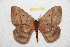  ( - BC-RBP 10476)  @14 [ ] Copyright (2017) Ron Brechlin Research Collection of Ron Brechlin