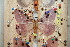  ( - BC-RBP-13190)  @11 [ ] copyright (2025) Ron Brechlin Research Collection of Ron Brechlin