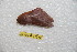  ( - BC-RBP 11312)  @11 [ ] Copyright (2019) Ron Brechlin Research Collection of Ron Brechlin