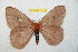  ( - BC-RBP 11371)  @11 [ ] Copyright (2019) Ron Brechlin Research Collection of Ron Brechlin