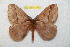  ( - BC-RBP 11390)  @11 [ ] Copyright (2019) Ron Brechlin Research Collection of Ron Brechlin