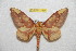  ( - BC-RBP 11394)  @11 [ ] Copyright (2019) Ron Brechlin Research Collection of Ron Brechlin