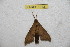  ( - BC-RBP 11431)  @11 [ ] Copyright (2019) Ron Brechlin Research Collection of Ron Brechlin