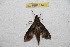  ( - BC-RBP 11432)  @11 [ ] Copyright (2019) Ron Brechlin Research Collection of Ron Brechlin