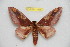  ( - BC-RBP 11446)  @11 [ ] Copyright (2019) Ron Brechlin Research Collection of Ron Brechlin