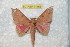  ( - BC-RBP 11466)  @13 [ ] Copyright (2019) Ron Brechlin Research Collection of Ron Brechlin