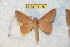  ( - BC-RBP 11467)  @11 [ ] Copyright (2019) Ron Brechlin Research Collection of Ron Brechlin