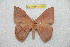  ( - BC-RBP 11520)  @13 [ ] Copyright (2019) Ron Brechlin Research Collection of Ron Brechlin