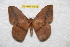  ( - BC-RBP 11558)  @11 [ ] Copyright (2019) Ron Brechlin Research Collection of Ron Brechlin