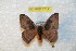  ( - BC-RBP 7714)  @13 [ ] Copyright (2013) Ron Brechlin coll. Ron Brechlin, Pasewalk