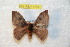  ( - BC-RBP 7719)  @13 [ ] Copyright (2013) Ron Brechlin coll. Ron Brechlin, Pasewalk