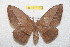  ( - BC-RBP 11616)  @14 [ ] Copyright (2020) Ron Brechlin Research Collection of Ron Brechlin