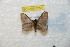  ( - BC-RBP 7751)  @12 [ ] Copyright (2013) Ron Brechlin coll. Ron Brechlin, Pasewalk