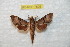  ( - BC-RBP 7805)  @12 [ ] Copyright (2013) Ron Brechlin coll. Ron Brechlin, Pasewalk